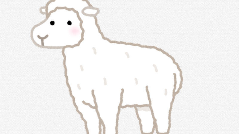 【画像】羊の予防接種のやり方がこちらｗｗｗｗｗｗｗｗｗｗｗ