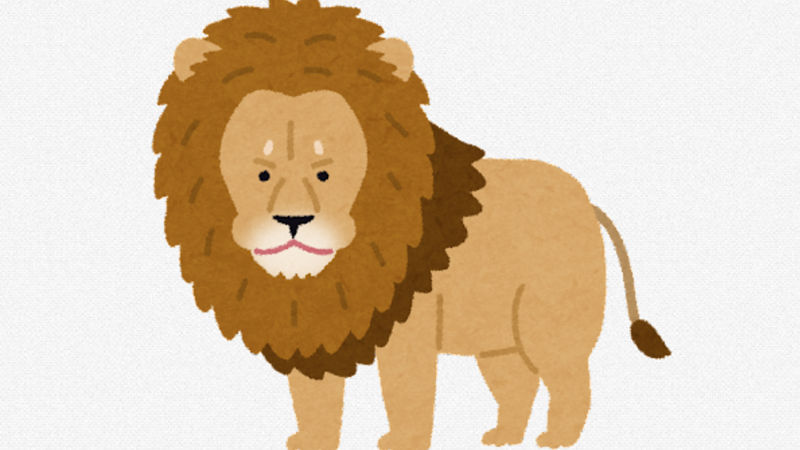【悲報】百獣の王ライオン、完全敗北してしまう