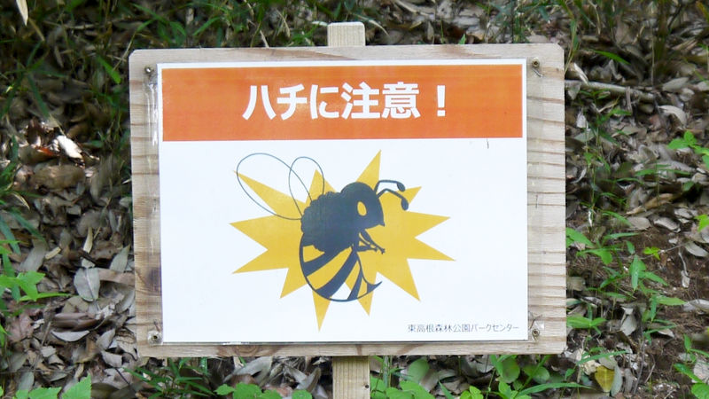 【画像】巨大バチ、襲来