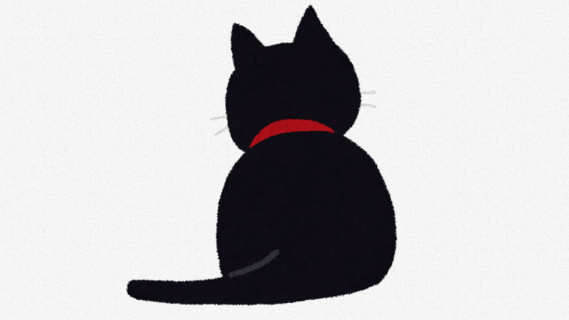 【画像】黒猫って部屋内でたまに見失う