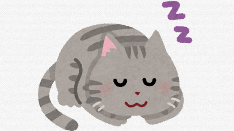 【悲報】猫、クソ暑いのにワイの上で寝る
