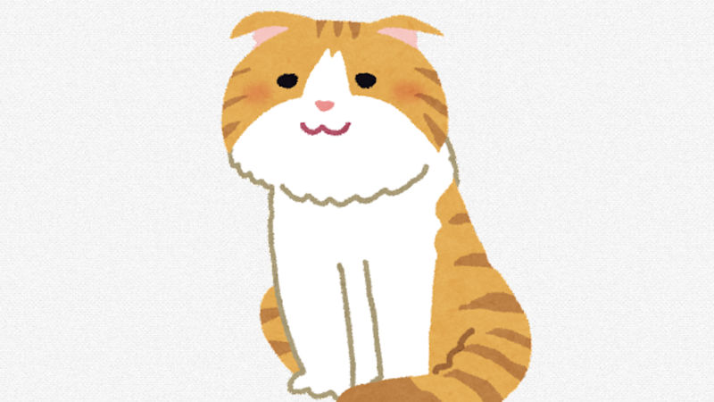 【画像】阪神大山の飼い猫ｗｗｗｗｗｗｗｗｗ