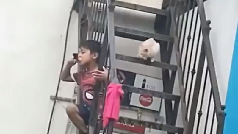 【動画】猫さん、キッズの食い物を奪ってしまう