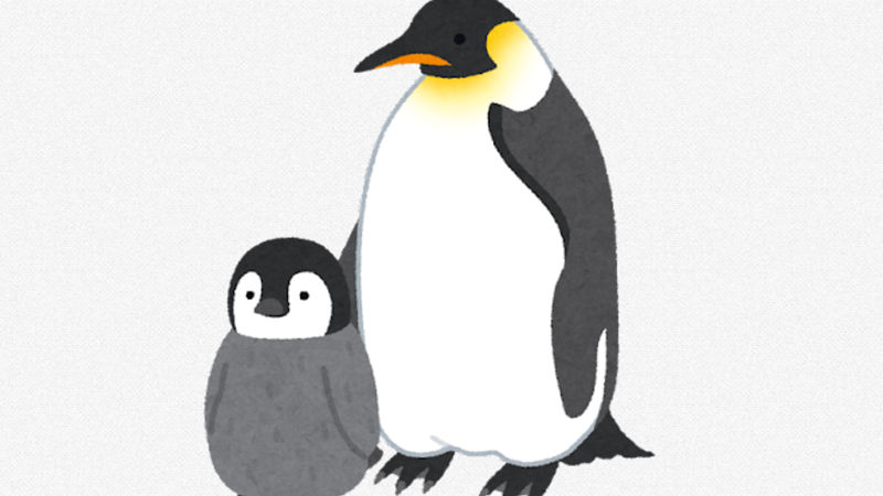 【動画】日本南極基地隊員の本日の日誌「コウテイペンギン遊びに来ました。」
