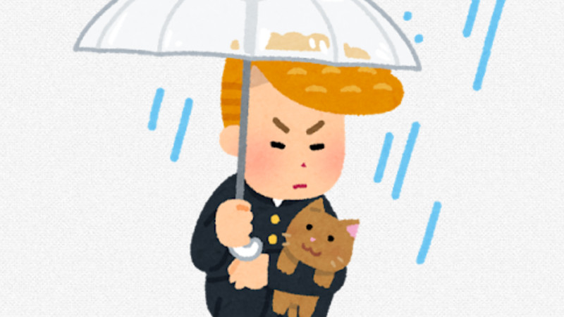 【悲報】東京都北区王子のヤンキー、猫ちゃんのご飯を横取り