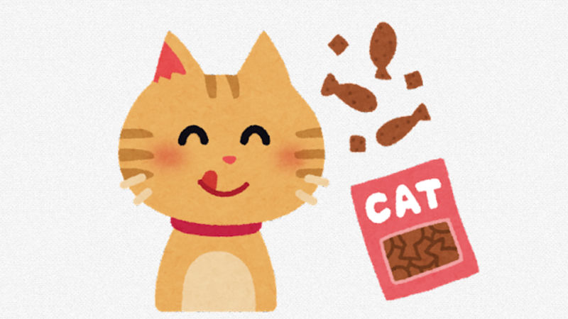 【動画】猫さん、豪快に飯を食う！！！